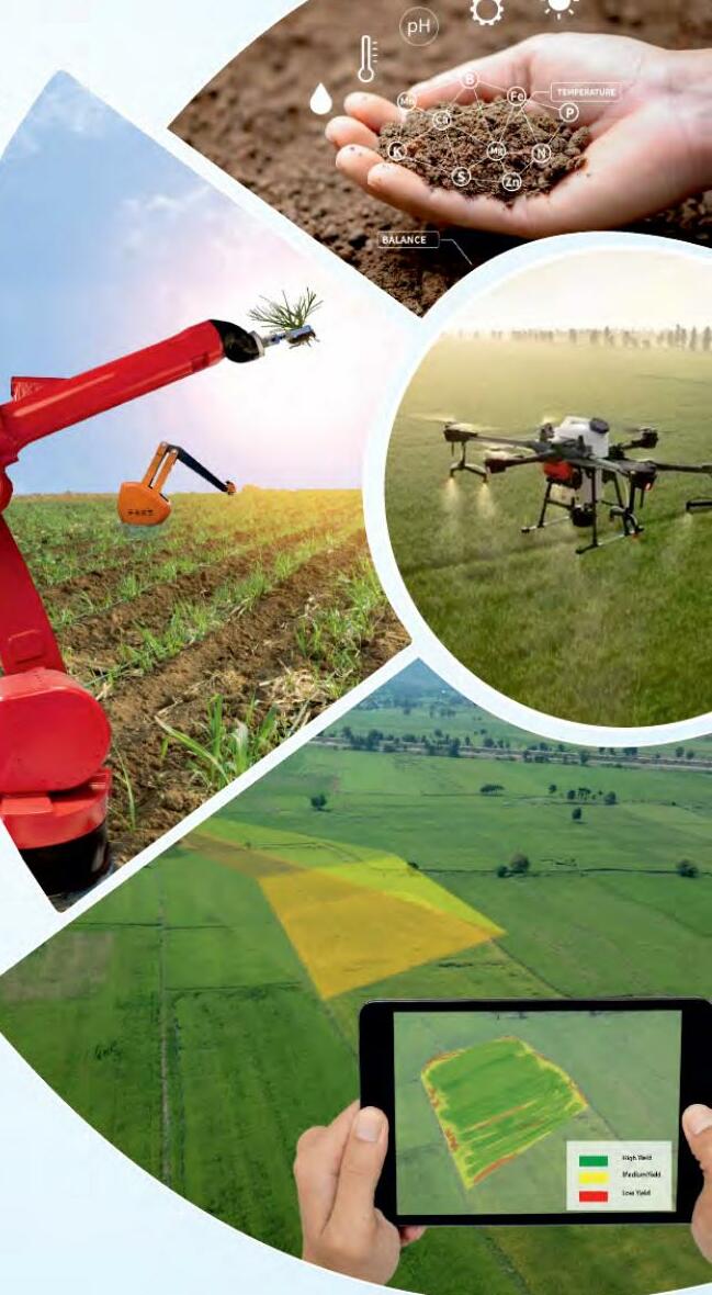 कृषि विकास के लिए उचित निर्णयों की आवश्यकता