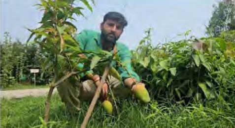 बागवानी से सफलता प्राप्त करने वाले सफल किसान उदय प्रताप