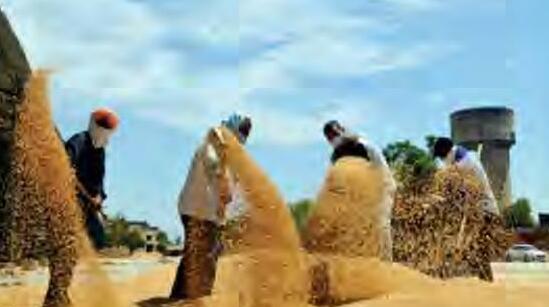 खाद्य उत्पादन की बढ़ती मांग से धरती पर पड़ रहा है प्रभाव