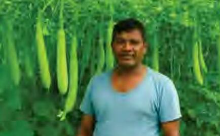 क्रांतिकारी मॉडल विकसित करने वाले सफल किसा सीताराम निगवाल