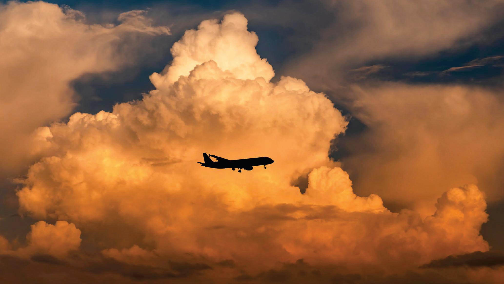 HOW TO NAVIGATE THE UNFRIENDLY SKIES