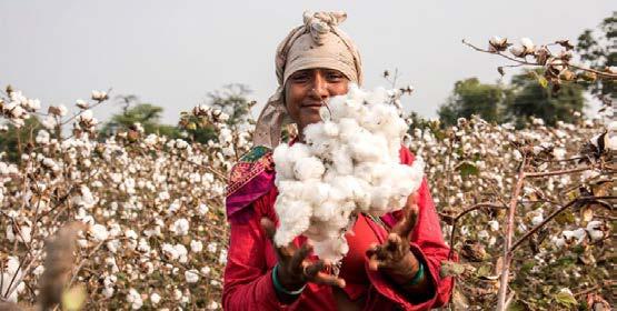 Restitching Confidence in India's Textile Industry: Duty Waiver Impact