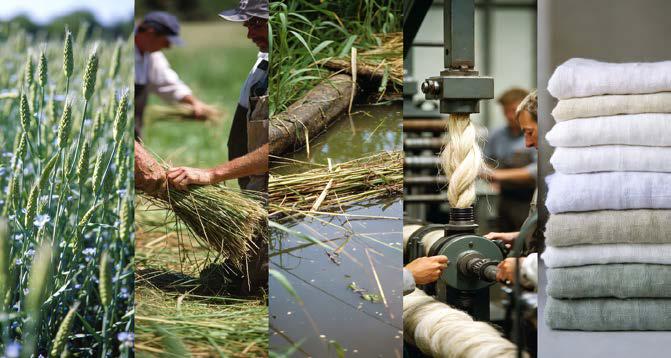 From Flax to Fashion: The Complete Story of Organic Linen Apparel Production