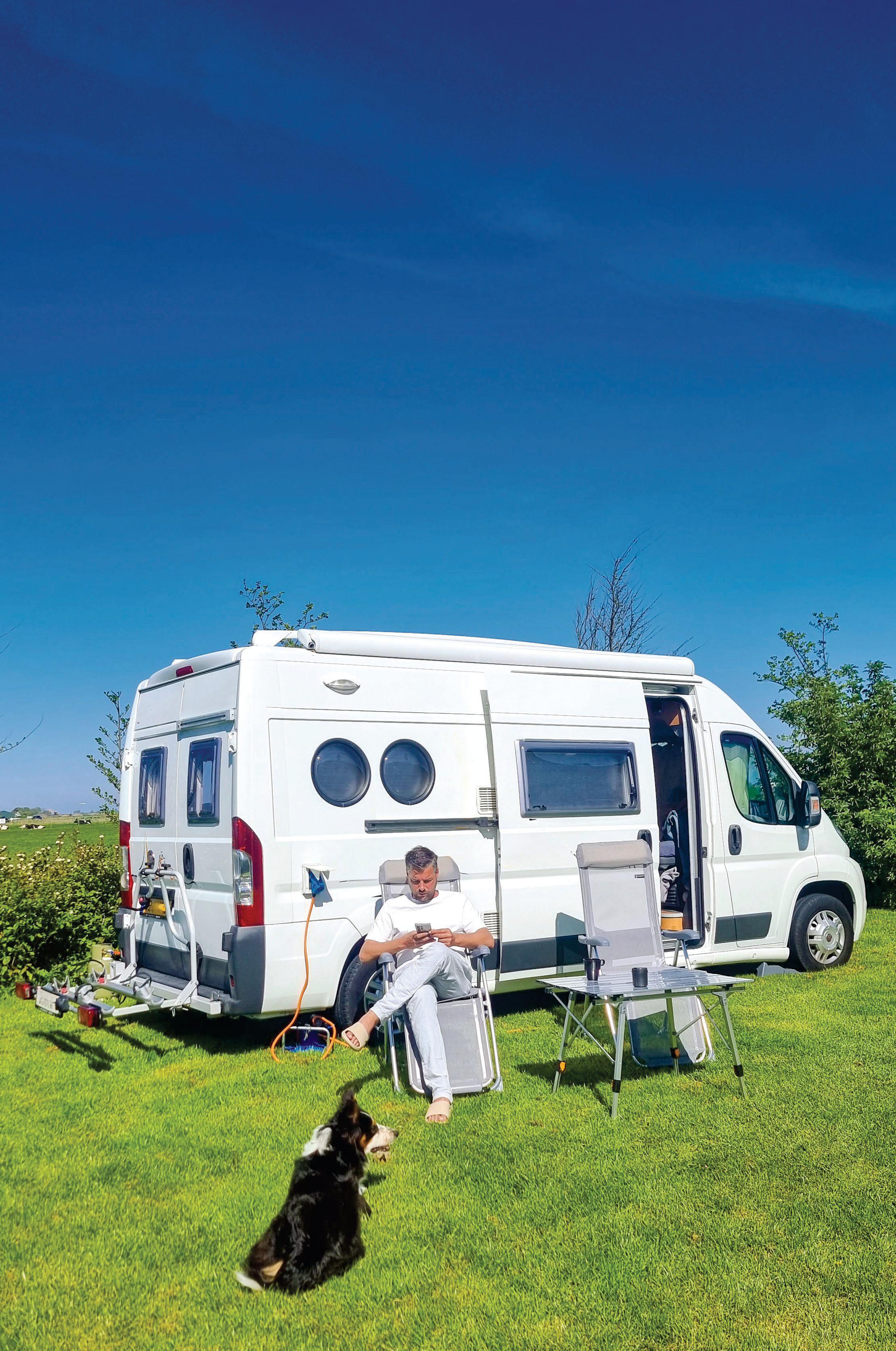 Best places to tour for... DOG OWNERS