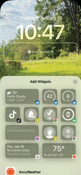 THE WORLD OF WIDGETS