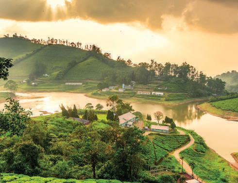 Wander Tamil Nadu's Roads Less Travelled for Deeper Discoveries