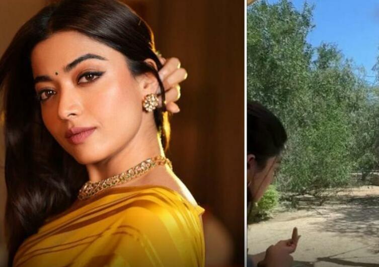 जब मोर ने अलार्म बजाकर रश्मिका मंदाना को जगा दिया