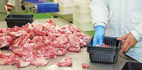Meaty' Issues of Hygiene