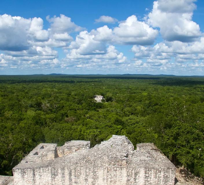 Lost Cities in the Jungle