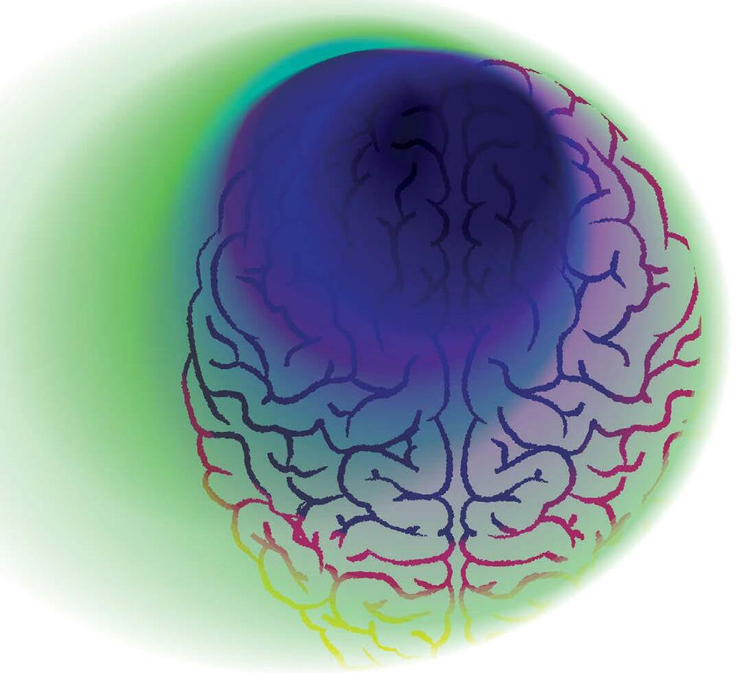 This Is Your Brain Before Drugs