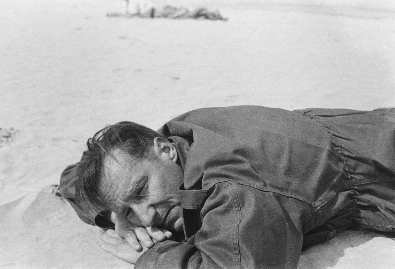 A Beatnik Tourist in Ayahuasca Country