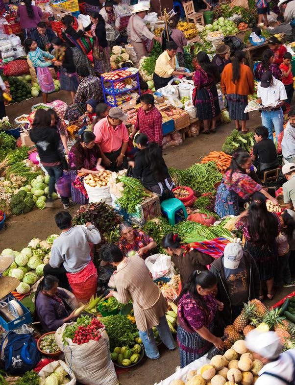 THE NEARLY FREE MARKETS OF GUATEMALA