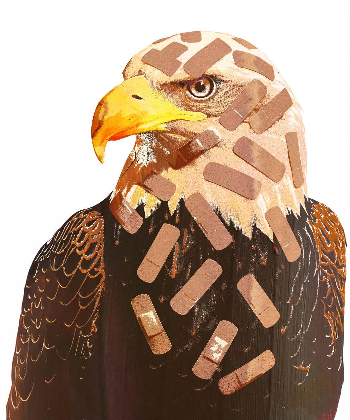 An Alarmingly Broad View of 'Public Health'