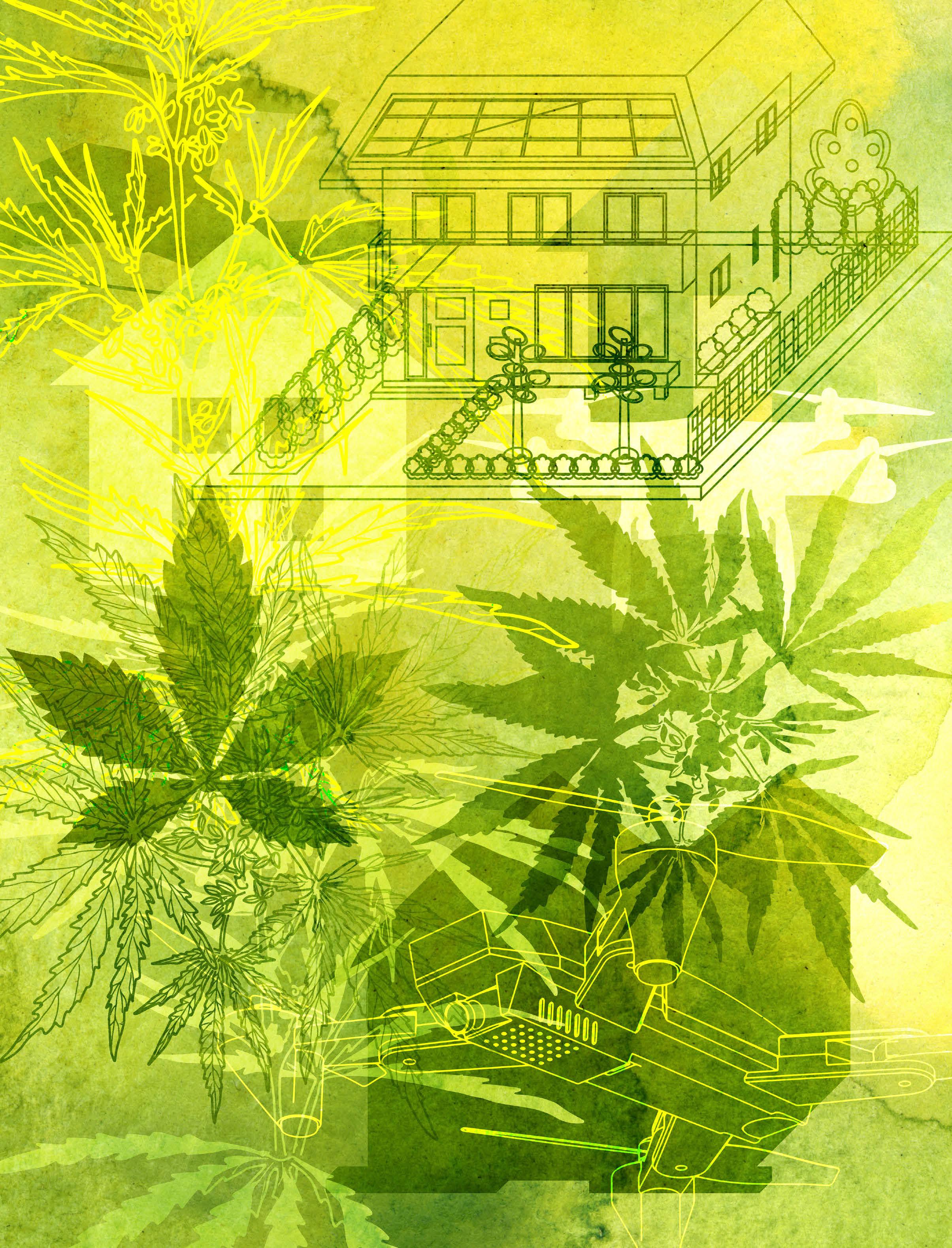 THEY THOUGHT LEGAL WEED MEANT FREEDOM. THEN THE DRONES CAME.