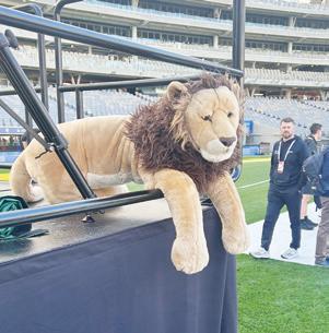 Mission to kidnap BIL put on hold - for now...