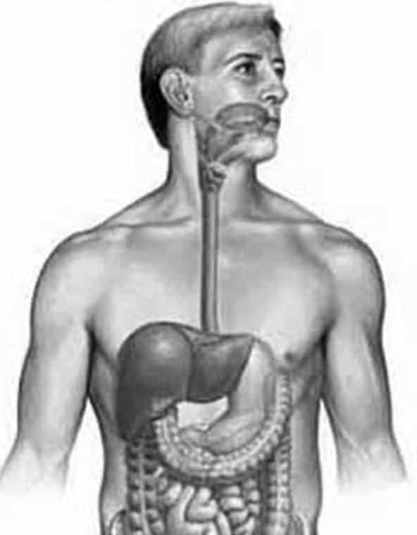 இரைப்பை, உணவுக்குழாய் பின்னோட்ட நோய் (GASTRO ESOCHAGAL REFLUX DISEASE GERD)