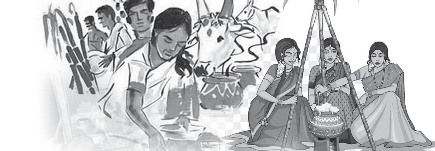 திராவிடர் திருநாளைப் பண்பாட்டு மீட்பாகக் கொண்டாடுவோம்!