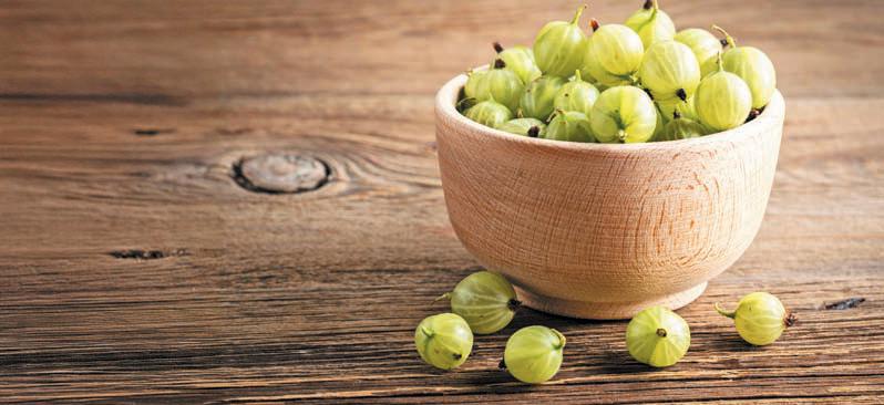முன்னே கசந்து பின்னே இனிக்கும் முதுநெல்லி!