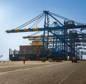 Adani Ports FY2025 net profit crosses ₹11,000 crore