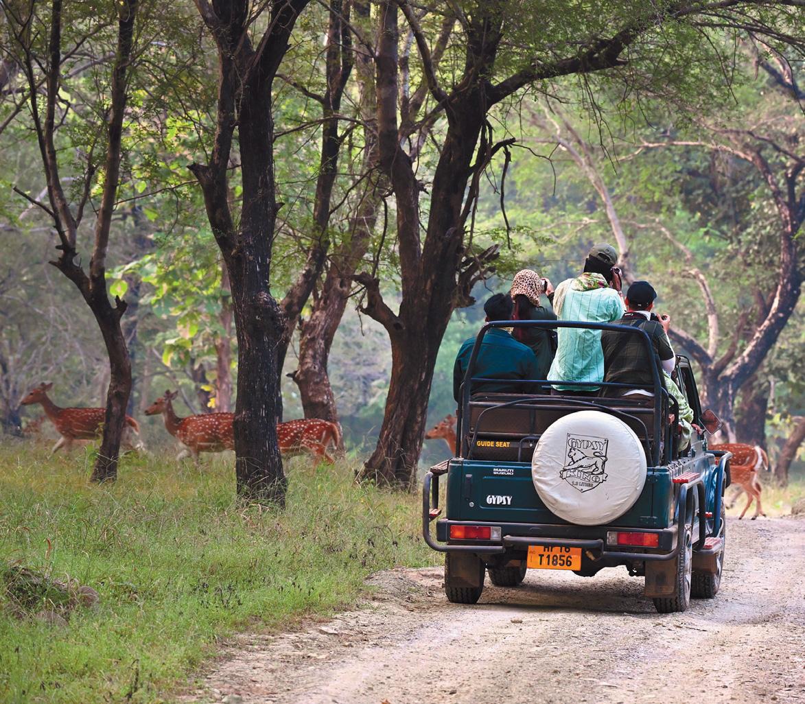 কর্ণাবতীর পাড়ে