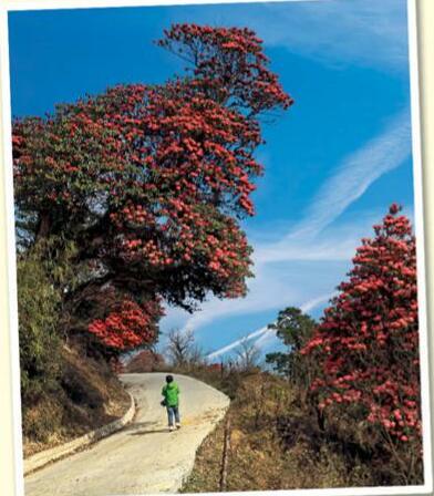 ভ্রমণজিজ্ঞাসা