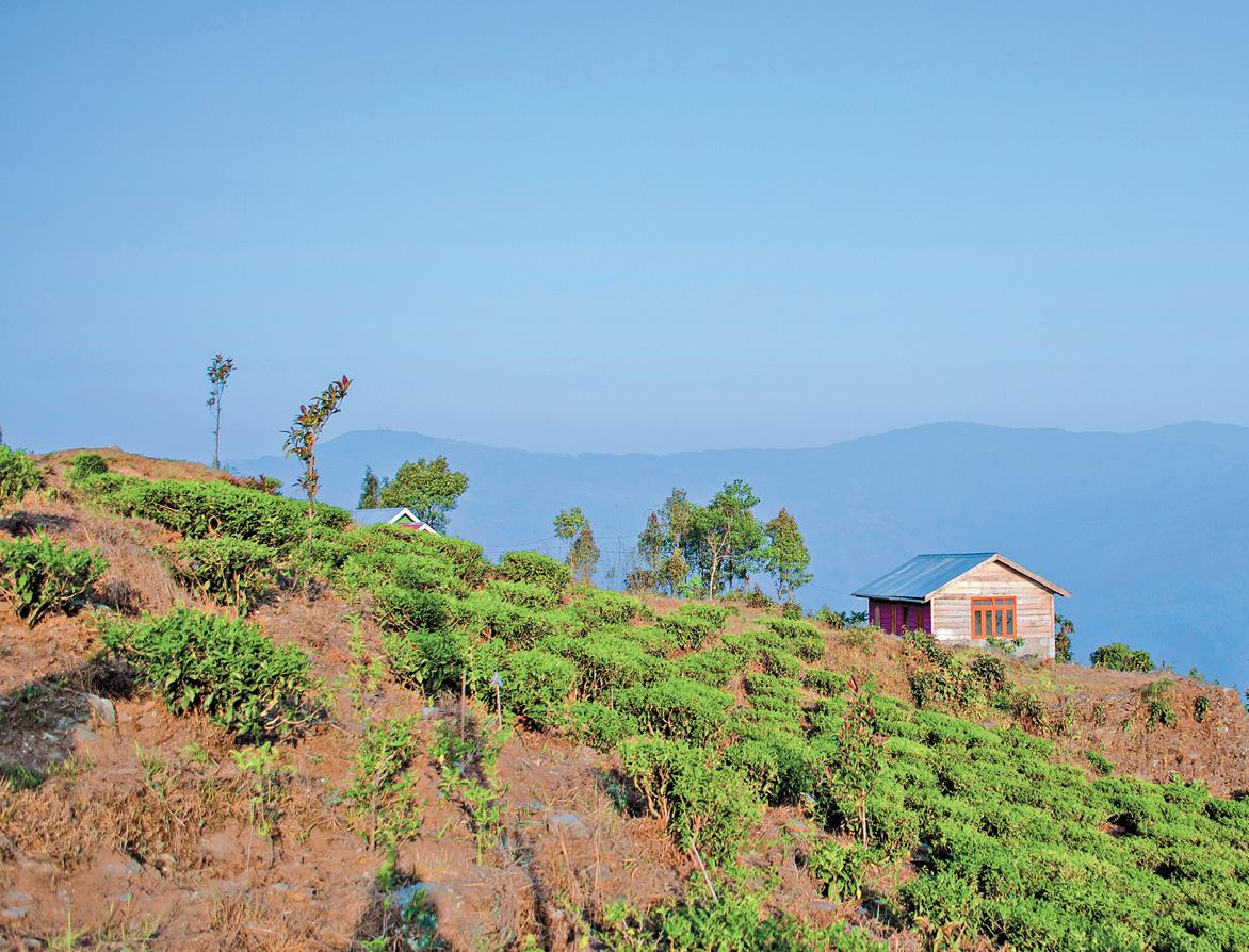 অহলদাঁড়ায় একদিন