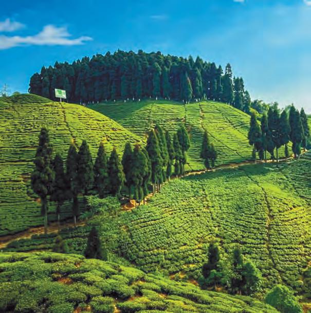 ‘ভ্রমণ' বাংলা পর্যটনের ‘জীবন রেখা’