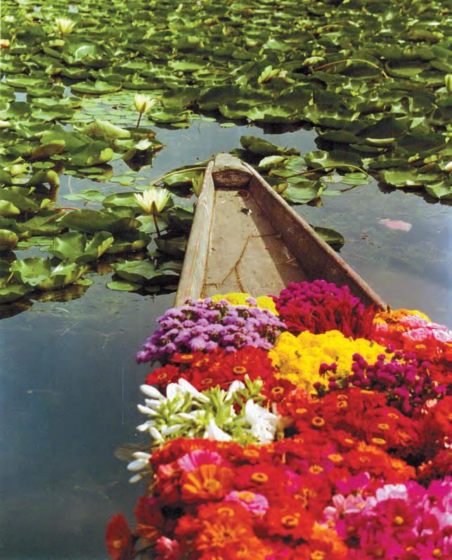 অবধ্য ভ্রমণ