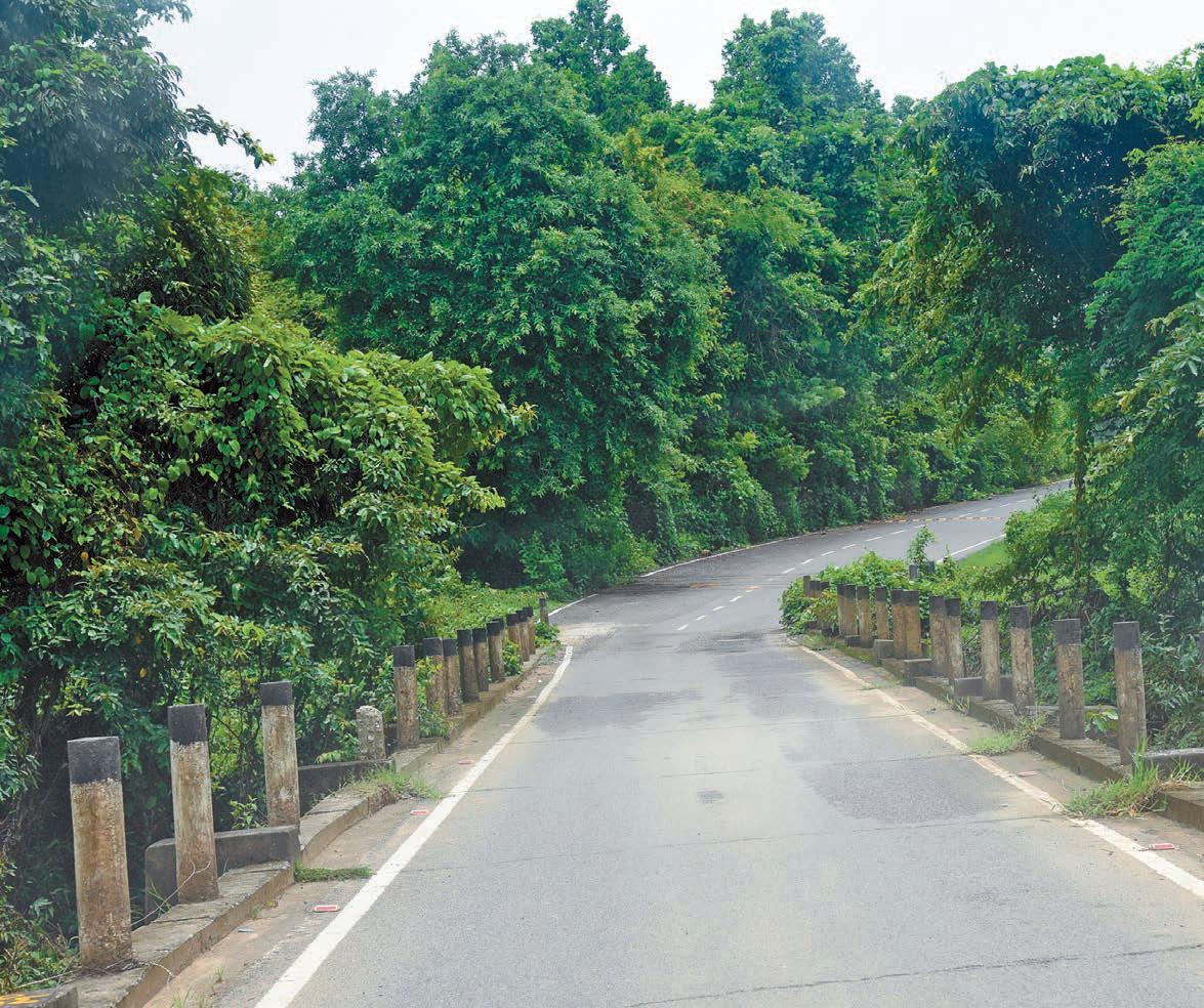 বর্ষাভেজ দুয়ারসিনি