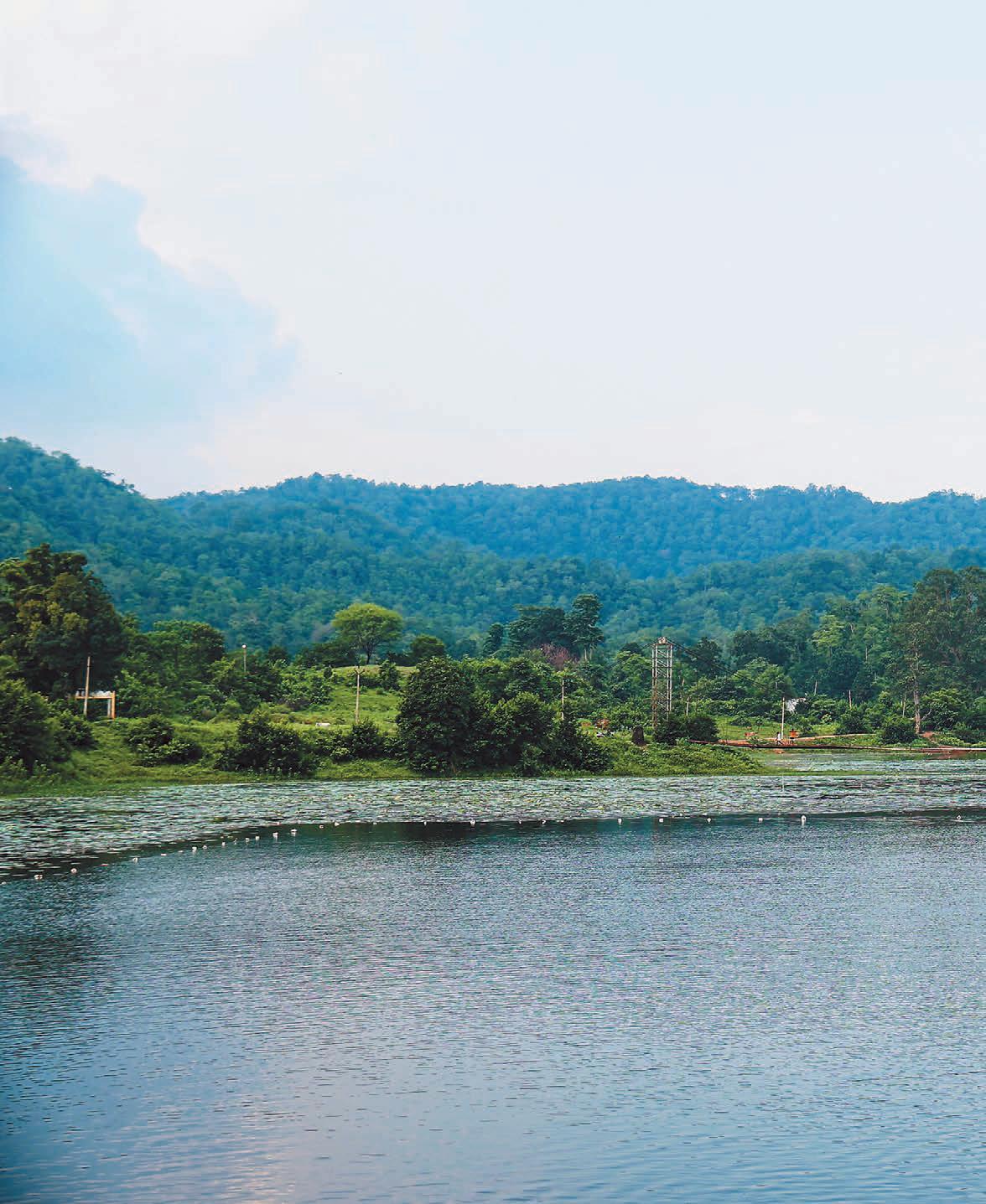 কাওয়ার্ধা হয়ে সারদা দাদার