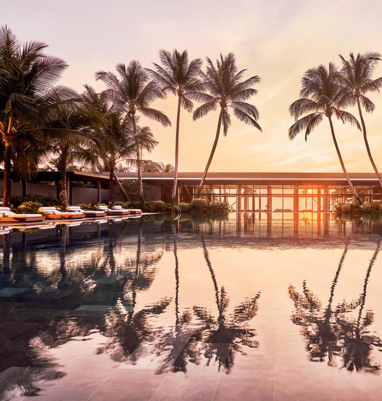 A Bubble Of Serenity