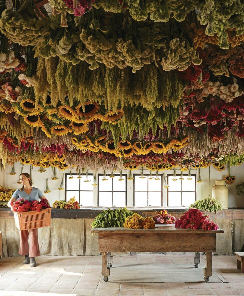 Business Is Blooming