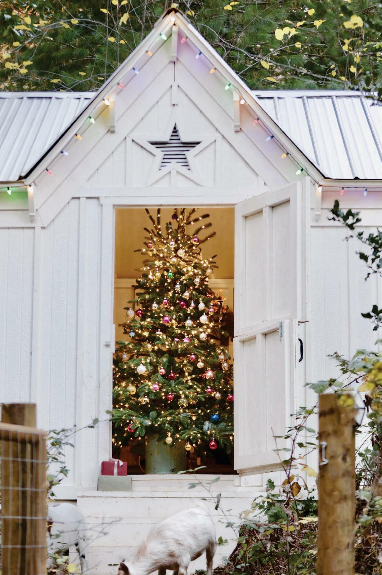 Tree Chic
