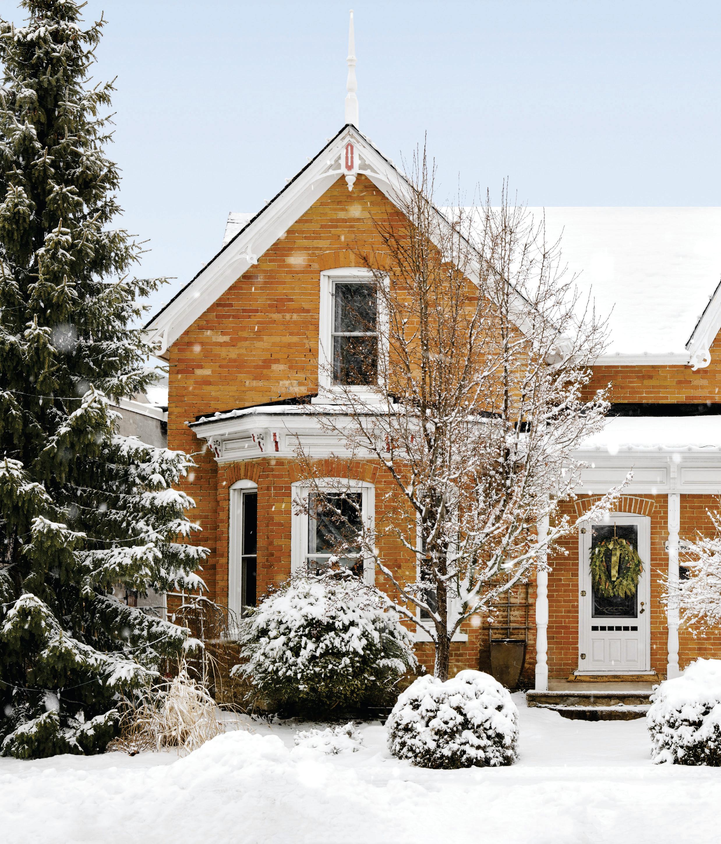 Winter Wonderland