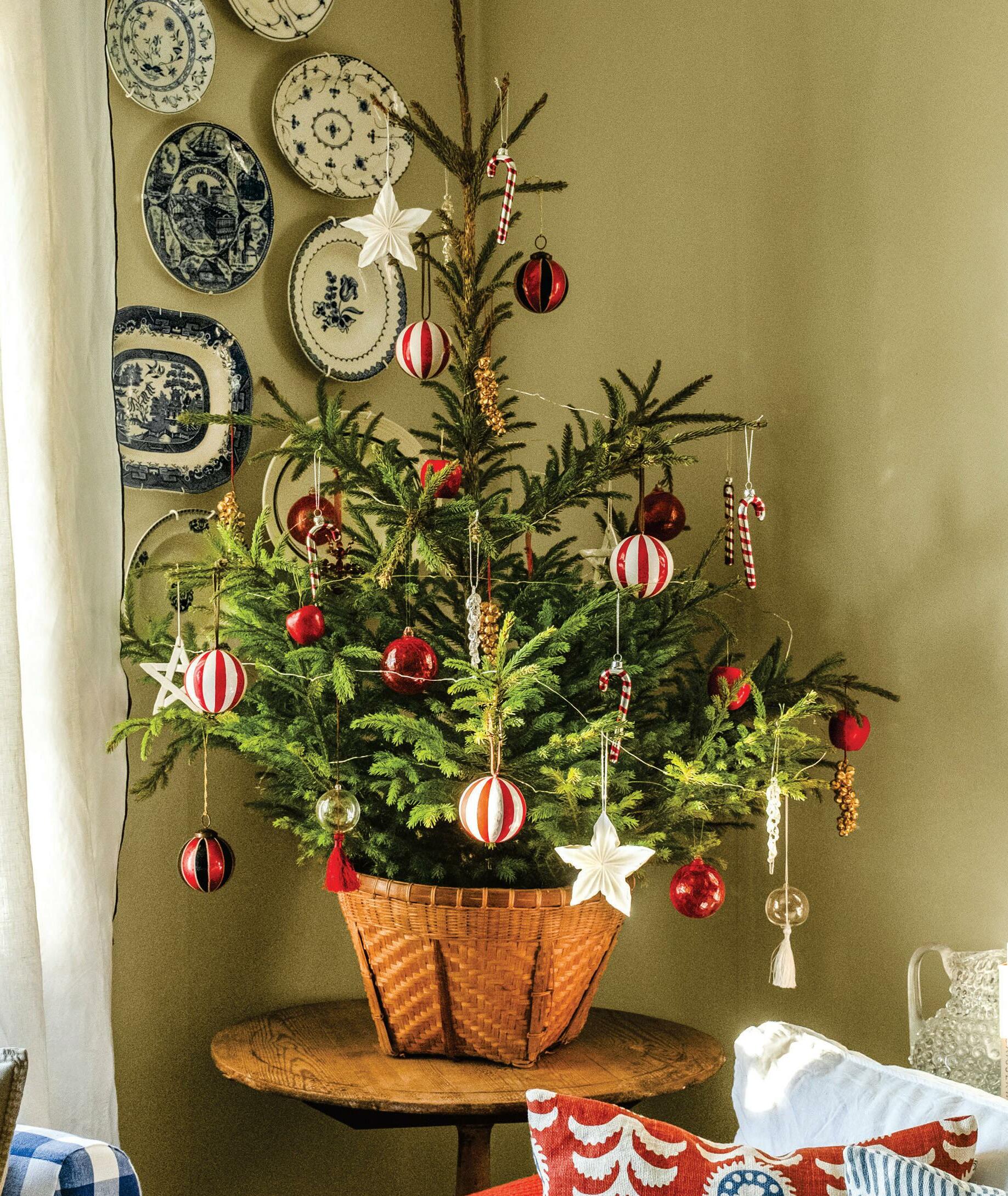 Tabletop Trees