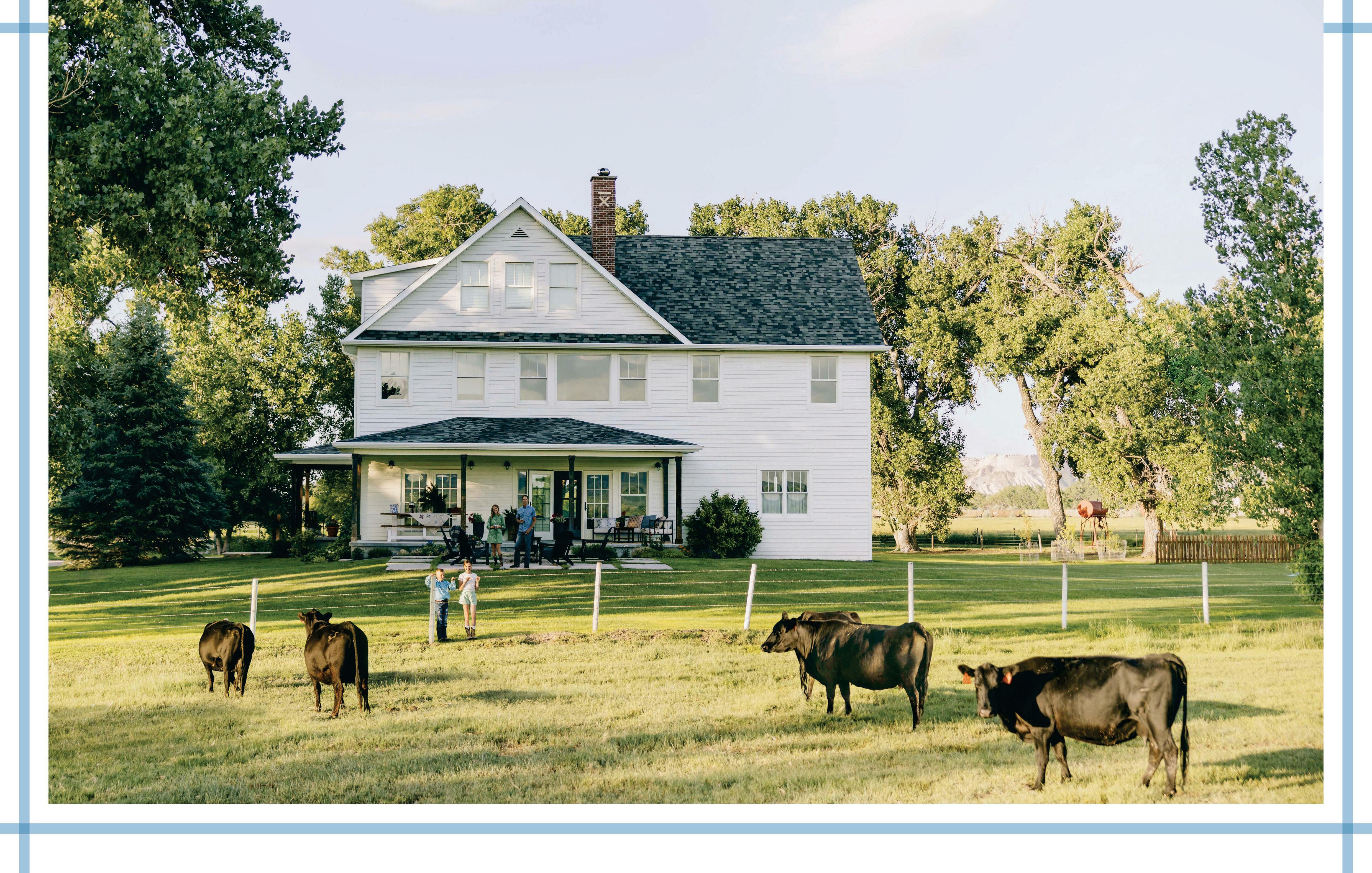 American Idyll