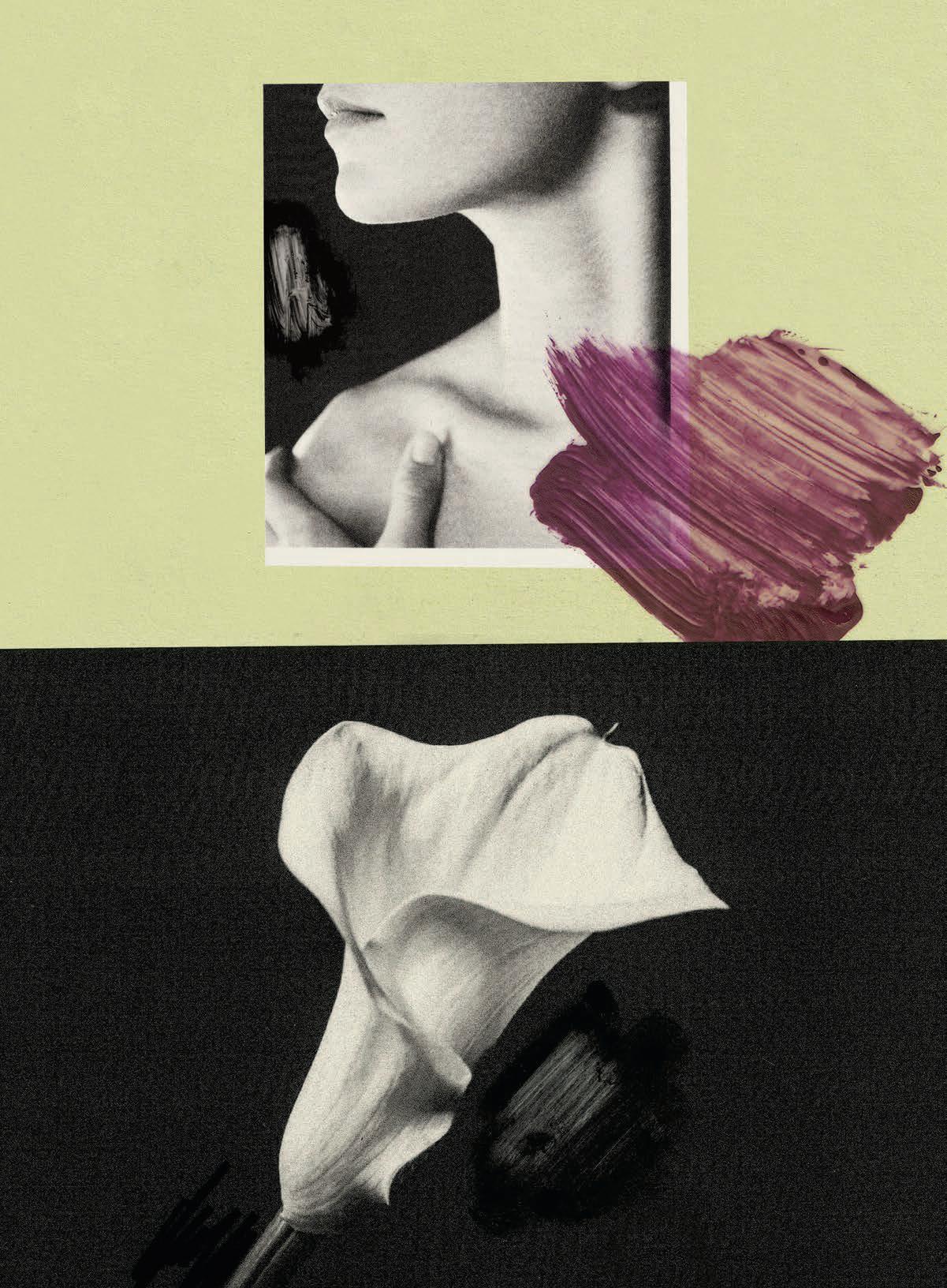 The 2026 MODERN WELLNESS GUIDE