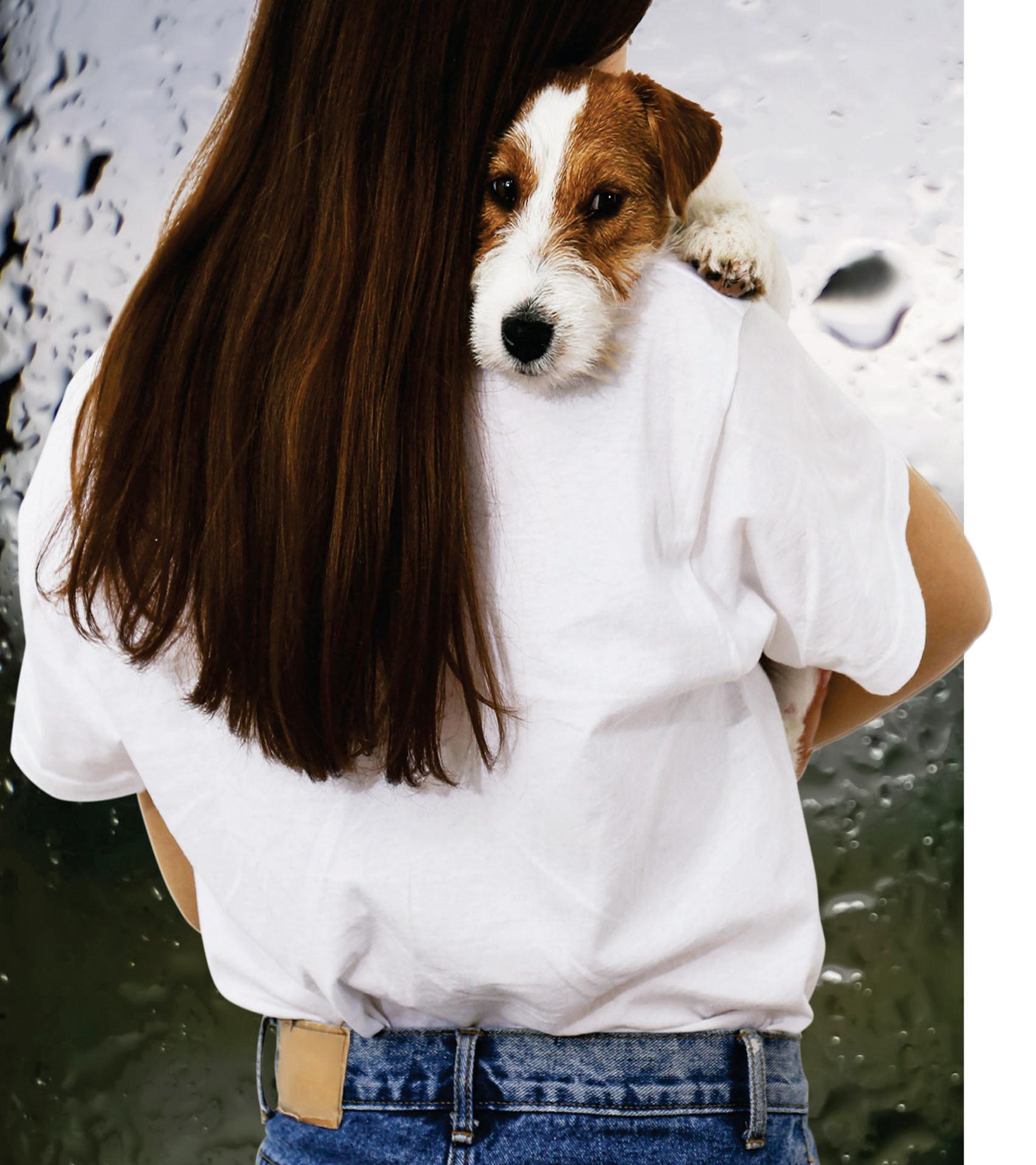 WHEN PETS FEEL DOWN