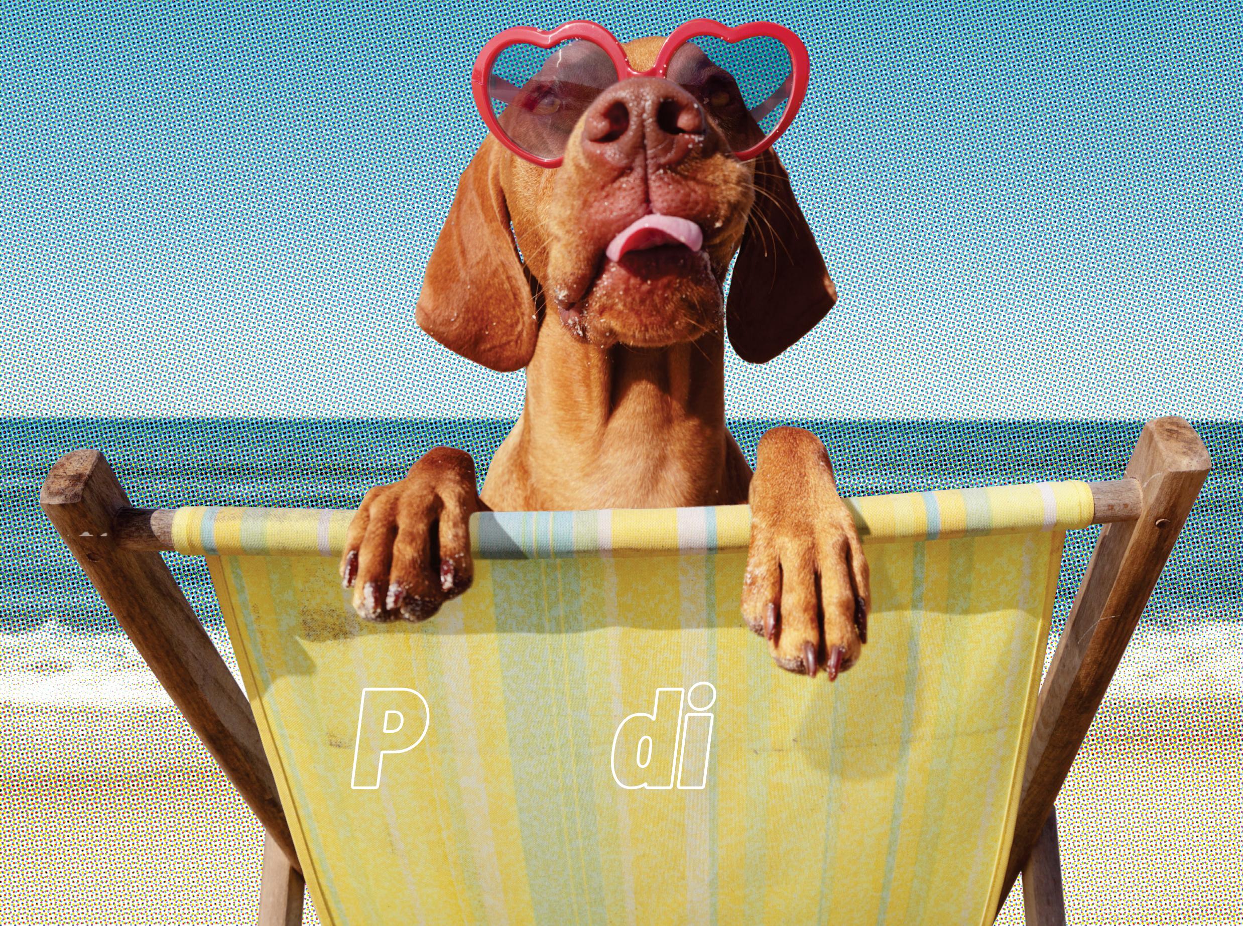 Pups in Paradise