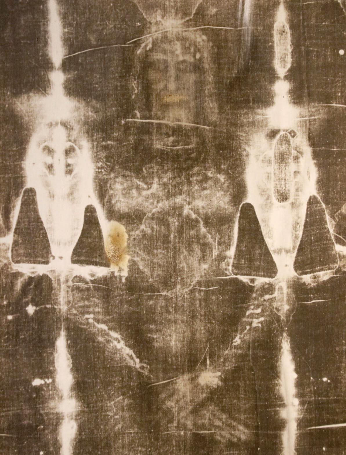 The Shroud of Turin