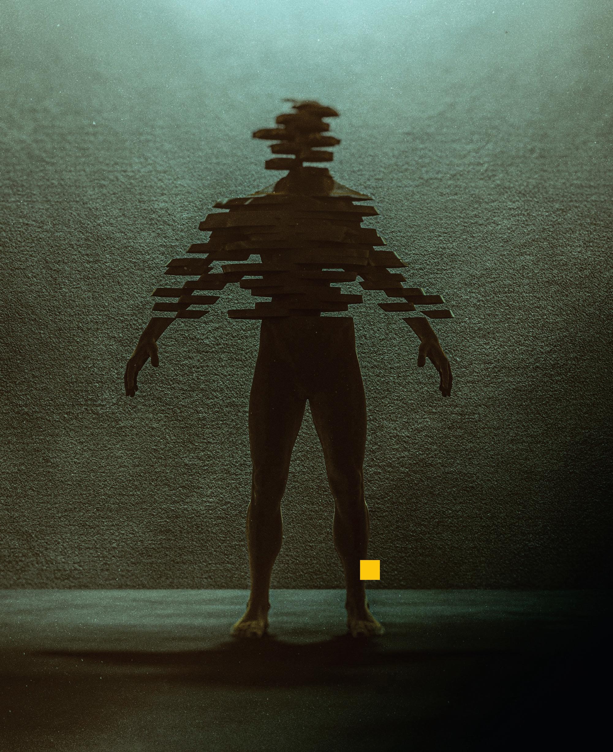 A BLUEPRINT OF THE HUMAN BODY
