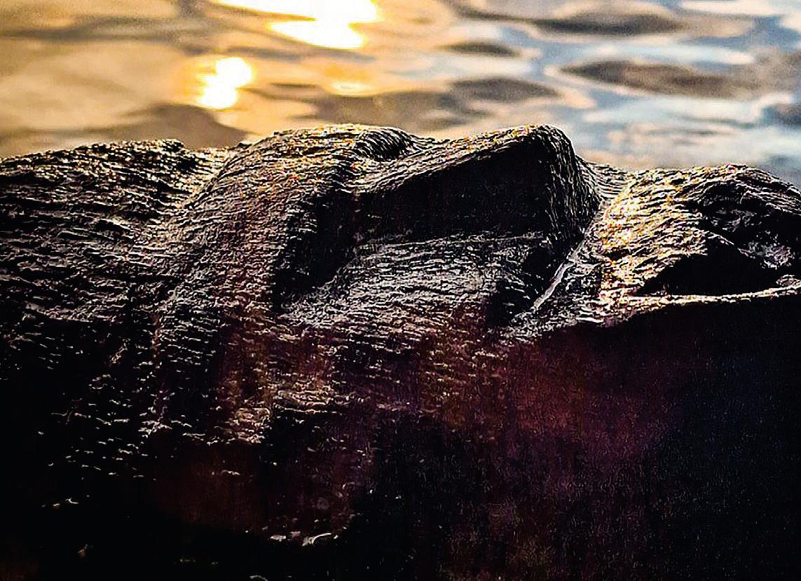 AN ANCIENT WOODEN FACE