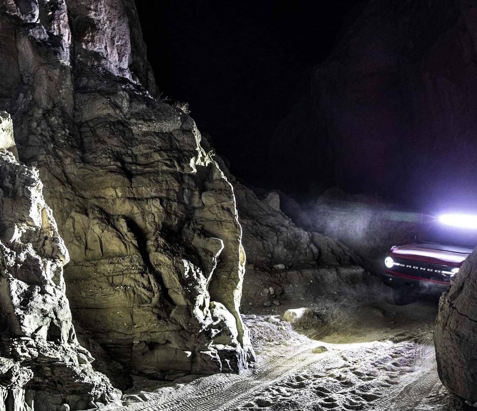 NIGHT CRAWLERS