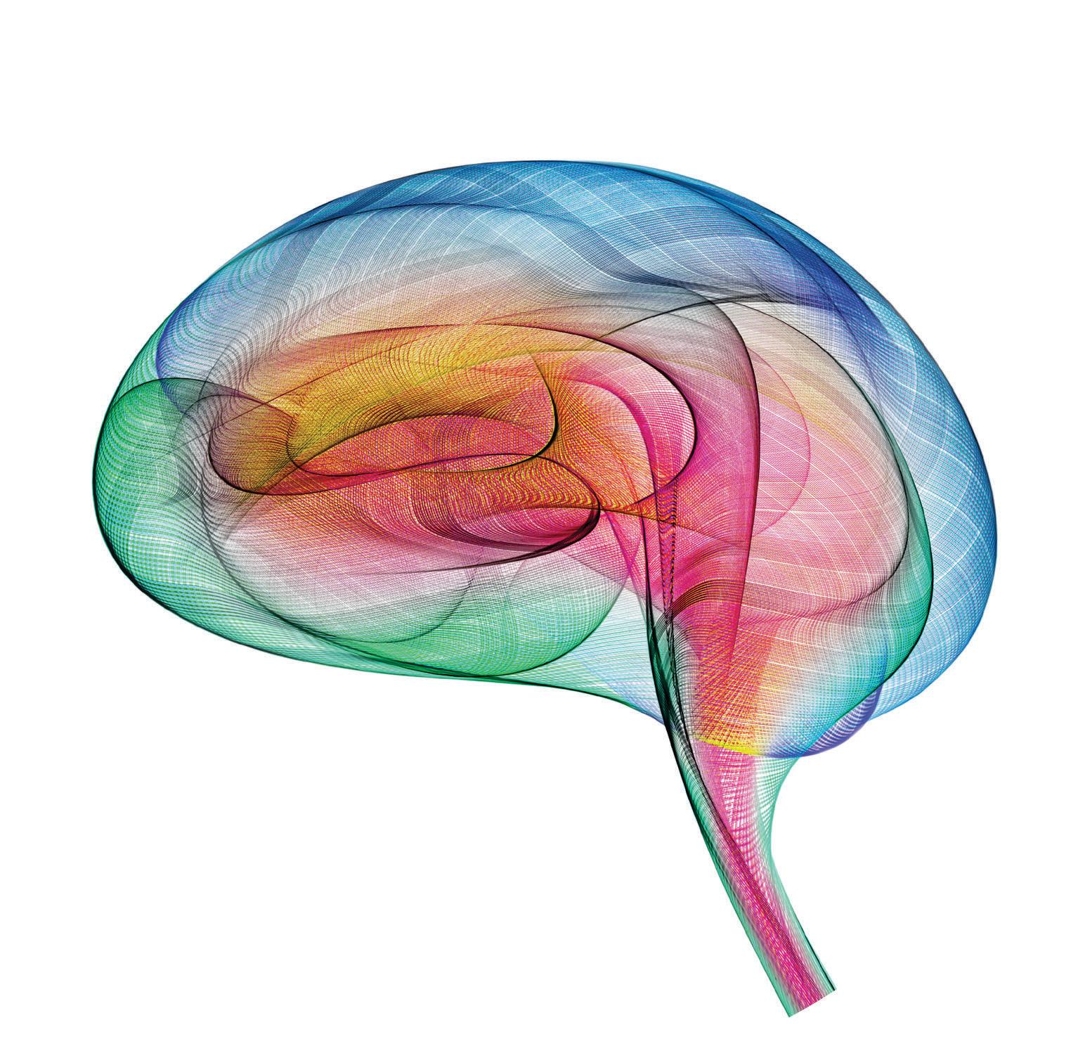 HOW TO PROTECT YOUR BRAIN