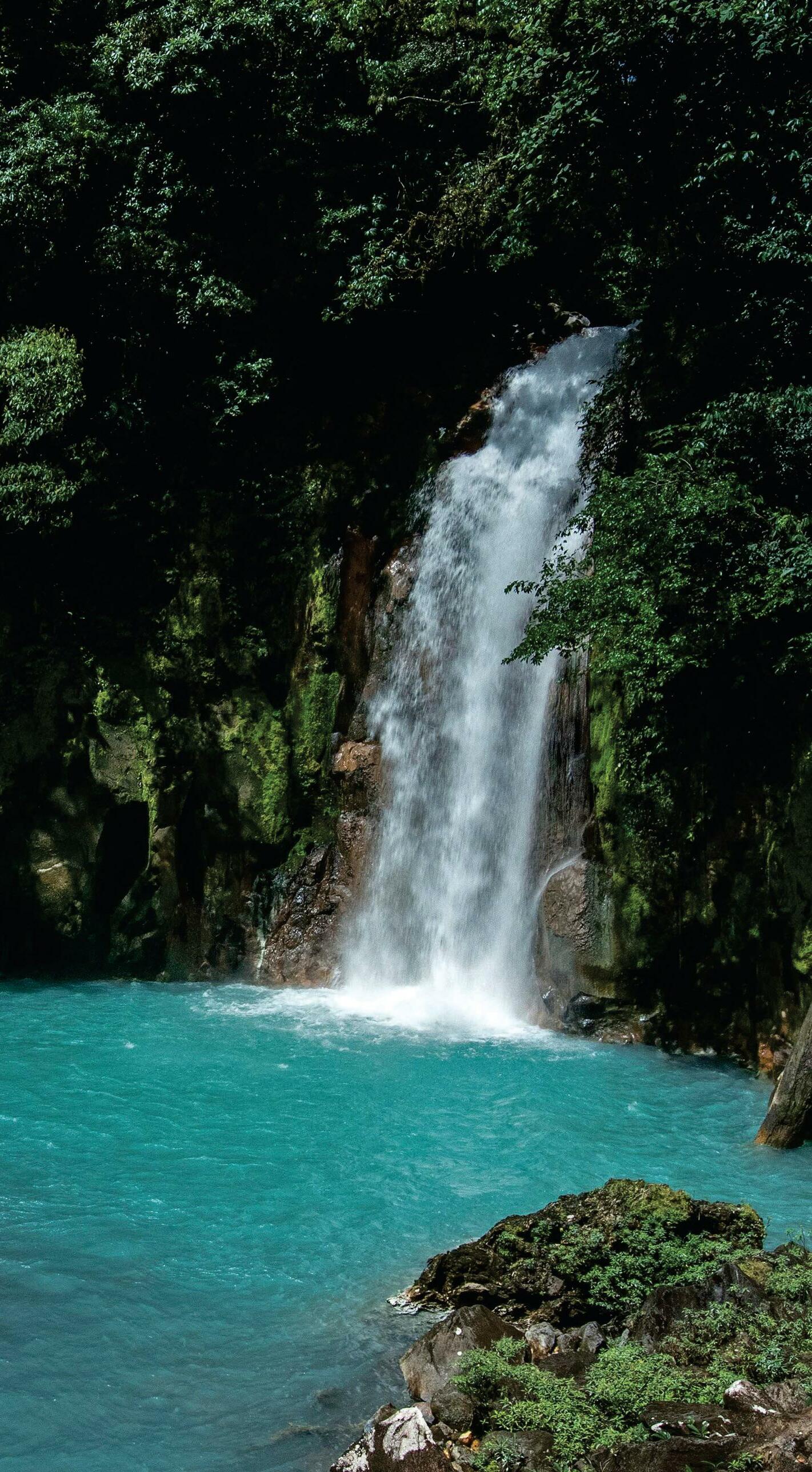 "I'm happiest when I'm "traveling the world"