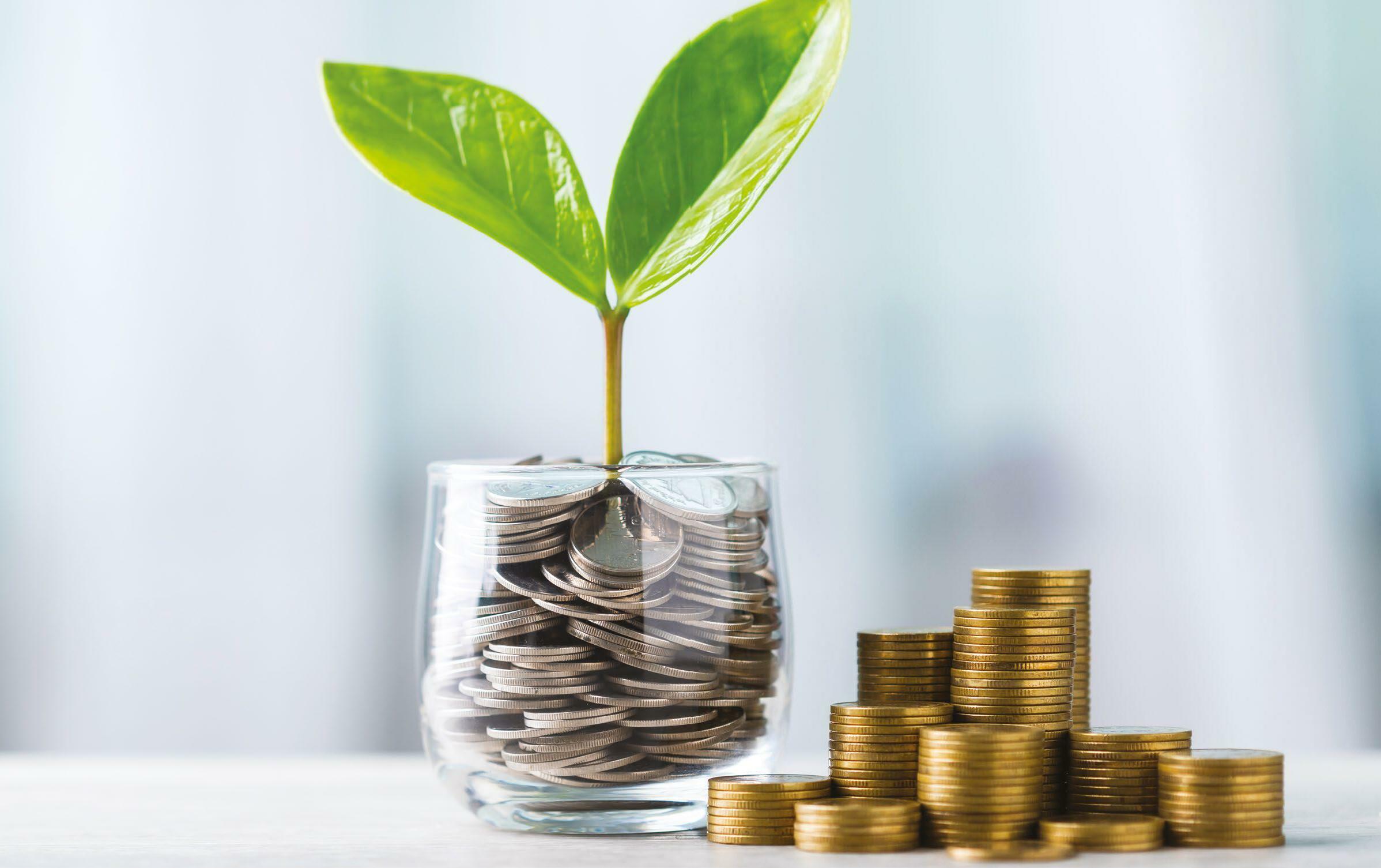 HOW TO GROW YOUR MONEY
