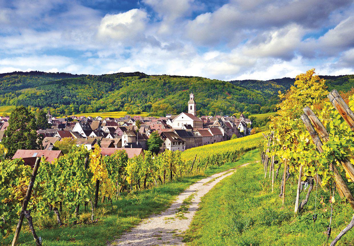 A fairy tale AMONG THE VINES