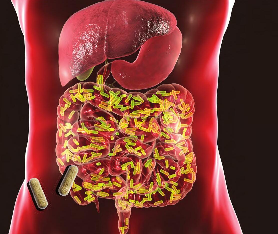 The Semi-Complete User's Guide To Your Gut