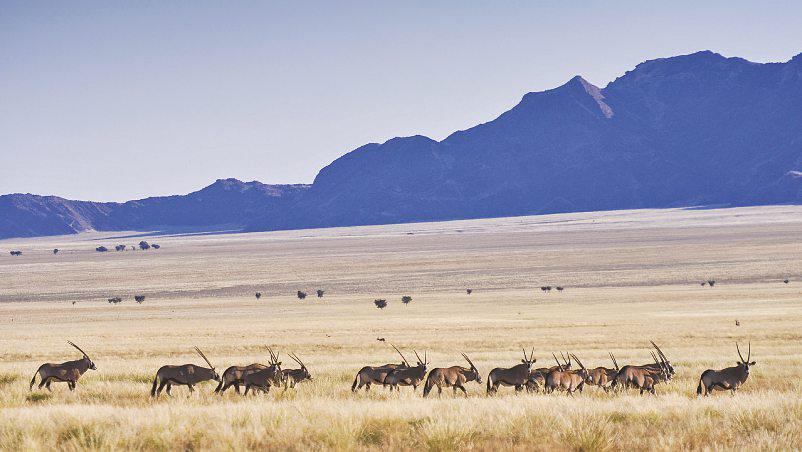 Along Namibia's coast