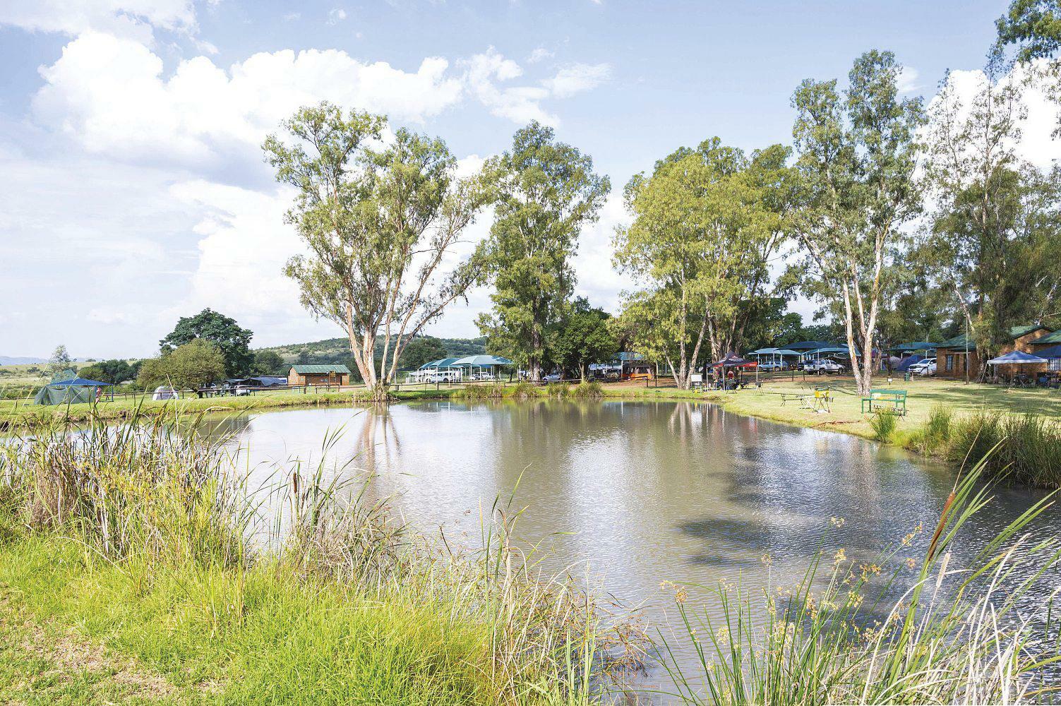 Tight lines in the Magaliesberg